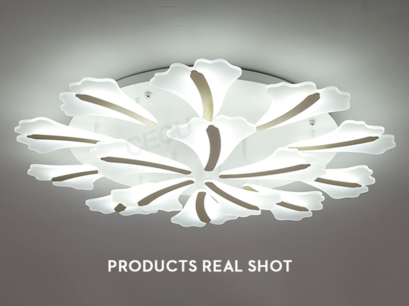 product-Hot sales flower shape surface mounted ceiling light CD1028-CEOU-img