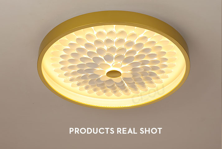 product-CEOU-Original design sunflower acrylic led ceiling light CX1028-img